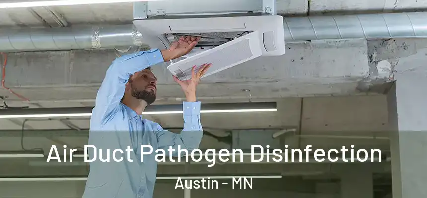Air Duct Pathogen Disinfection Austin - MN