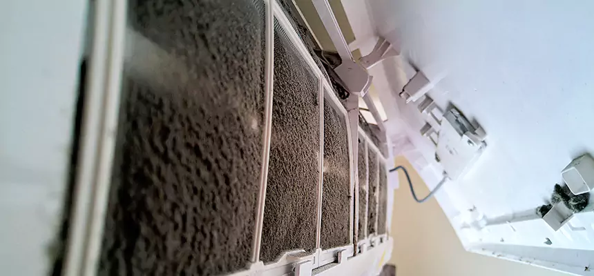 Preventive Air Duct Bacteria Removal in Austin