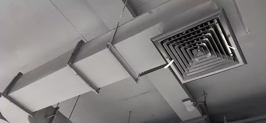 Restorative Allergy Relief Vent Cleaning – Coil, Blower & Housing Detail in Austin