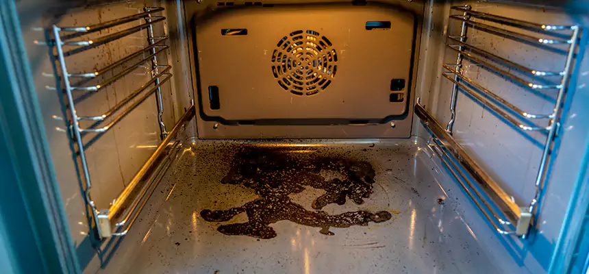 Our Dryer Vent Mold Cleaning Services in Austin, MN