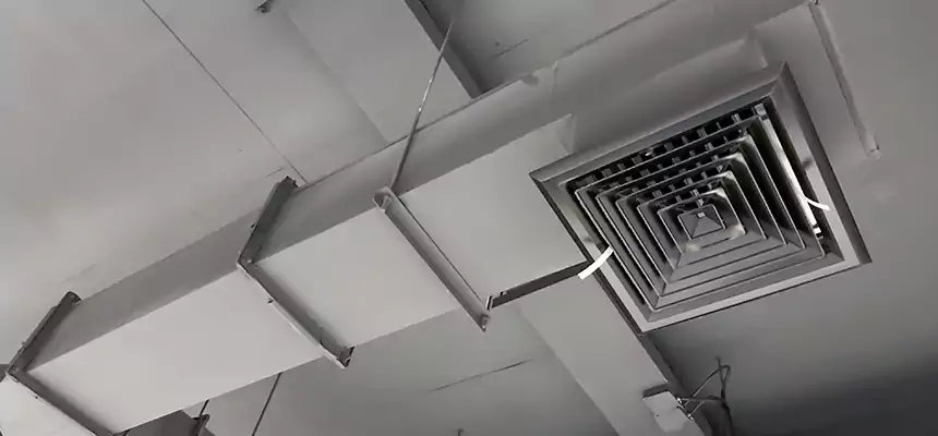 Our Rodent Droppings In Vents Services in Austin, MN