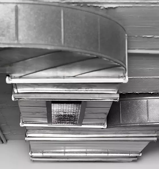 Professional Air Duct Pest Removal in Austin, MN