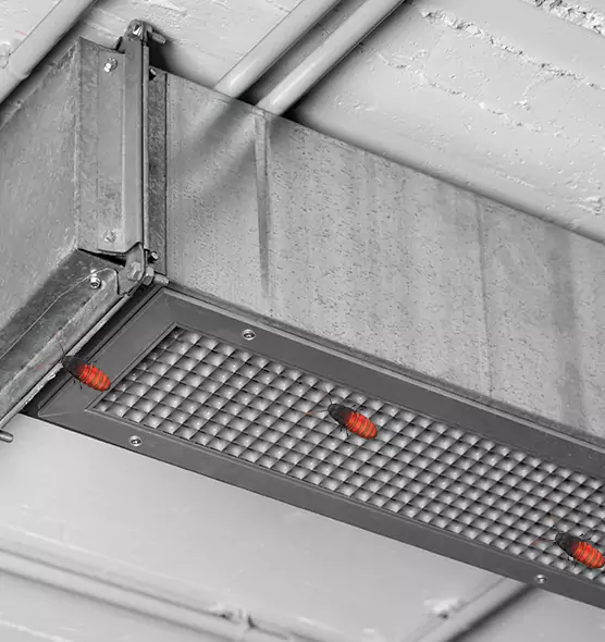 Affordable Insect Removal from Air Ducts in Austin, MN