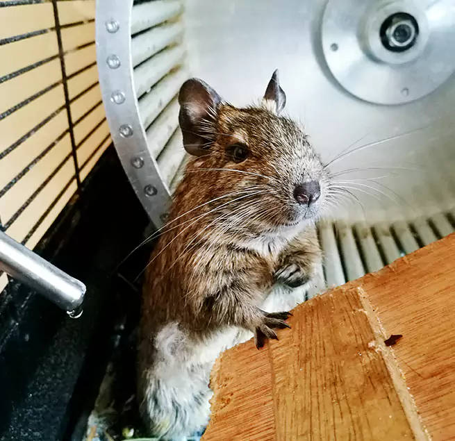 Why Homeowners & Businesses Trust Us Austin, MN