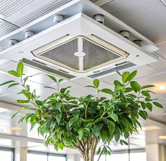 Why Homeowners & Businesses Trust Us in Austin, MN?